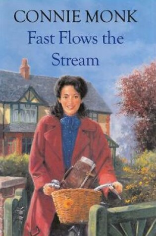 Cover of Fast Flows The Stream