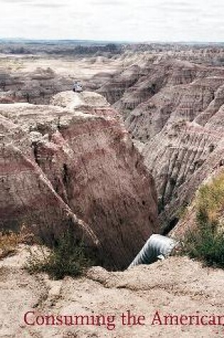 Cover of Consuming The American Landscape