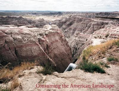 Book cover for Consuming The American Landscape