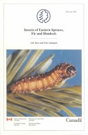 Book cover for Insects of Eastern Spruces, Fir, and Hemlock