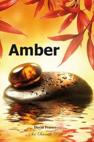 Cover of Amber