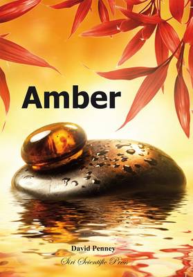 Book cover for Amber