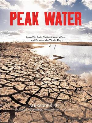 Book cover for Peak Water