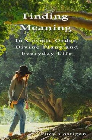 Cover of Finding Meaning