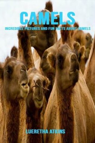 Cover of Camels