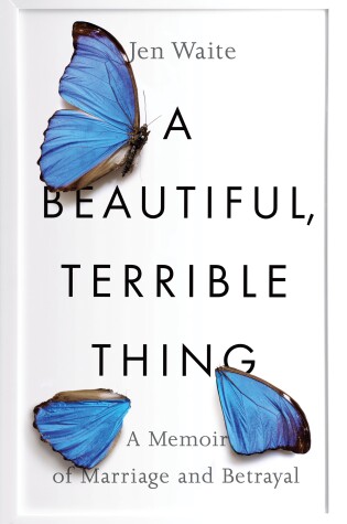 Cover of A Beautiful, Terrible Thing