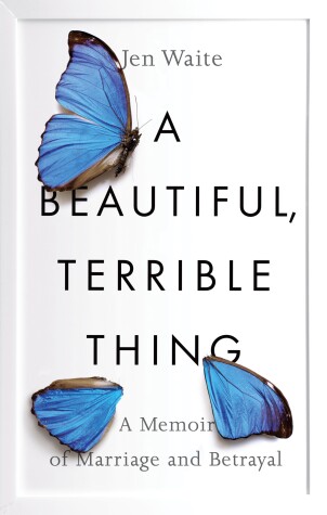 Book cover for A Beautiful, Terrible Thing