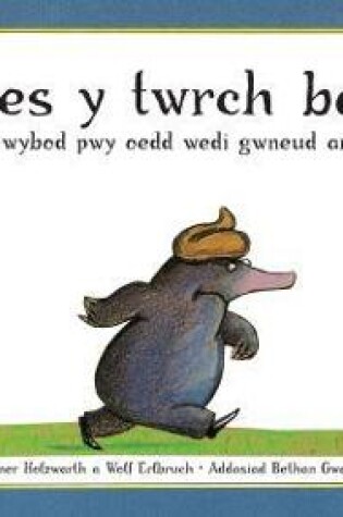 Cover of Hanes y Twrch Bach oedd am Wybod Pwy oedd Wedi Gwneud ar ei Ben