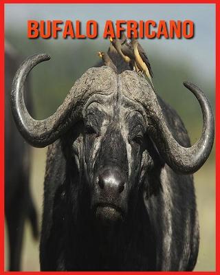 Book cover for Bufalo Africano