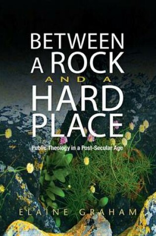 Cover of Between a Rock and a Hard Place