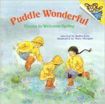 Book cover for Puddle Wonderful