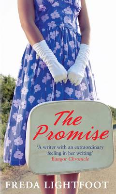 Book cover for The Promise