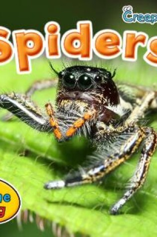 Cover of Spiders