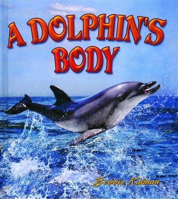 Cover of A Dolphin's Body