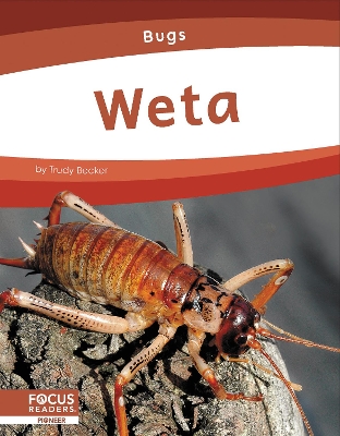 Book cover for Bugs: Weta