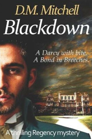 Cover of Blackdown