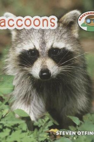 Cover of Raccoons