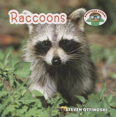 Book cover for Raccoons