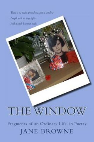 Cover of The Window