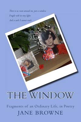 Book cover for The Window