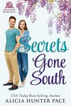 Book cover for Secrets Gone South
