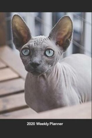 Cover of Plan On It 2020 Weekly Calendar Planner - Sphynx Cat - Where's The Cat Food?