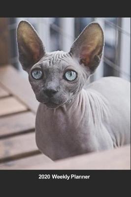 Book cover for Plan On It 2020 Weekly Calendar Planner - Sphynx Cat - Where's The Cat Food?