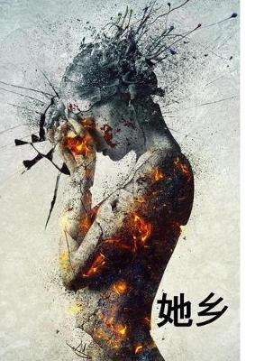 Book cover for 她乡