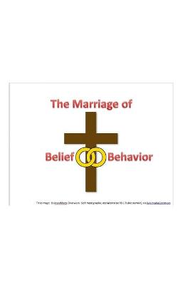 Book cover for Belief and Behavior