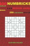 Book cover for NUMBRICKS 400 puzzles 9 x 9 MEDIUM - HARD + BONUS 250 LABYRINTH 25 x 25