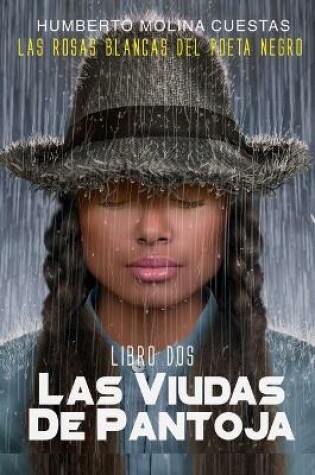 Cover of Viudas