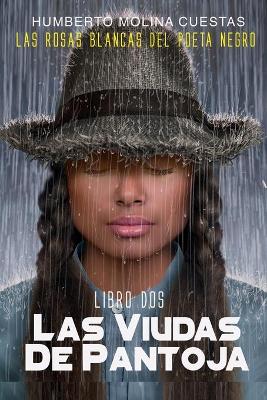 Book cover for Viudas