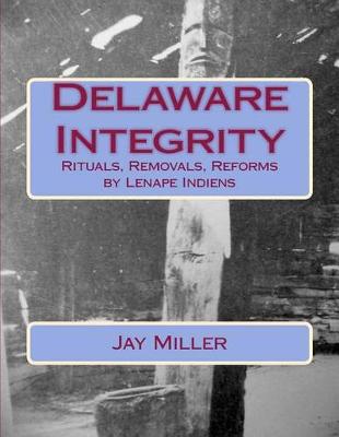 Book cover for Delaware Integrity