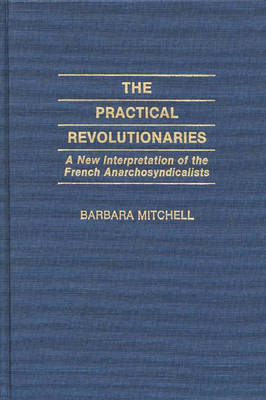 Book cover for The Practical Revolutionaries