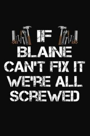 Cover of If Blaine Can't Fix It We're All Screwed