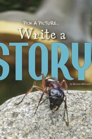 Cover of Write a Story
