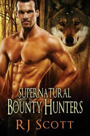 Cover of Supernatural Bounty Hunters