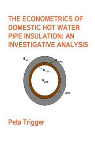 Cover of The Econometrics of Domestic Hot Water Pipe Insulation
