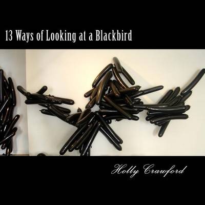 Book cover for 13 Ways of Looking at a Blackbird