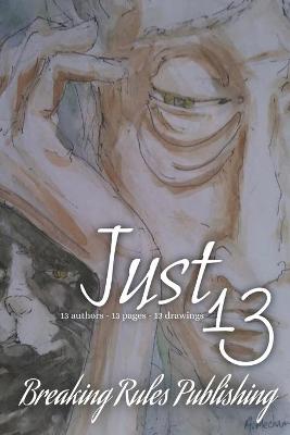 Book cover for Just 13