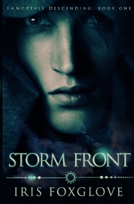 Book cover for Storm Front