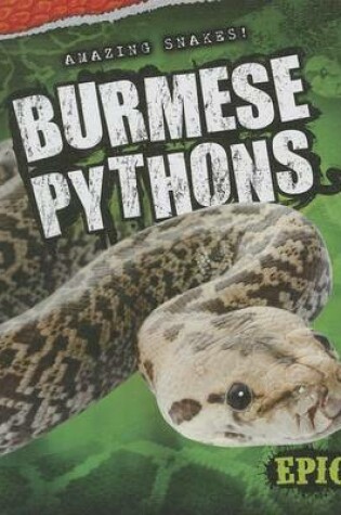 Cover of Burmese Pythons