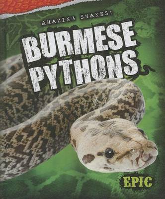 Book cover for Burmese Pythons