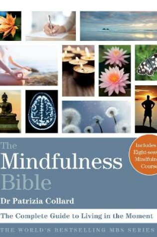 Cover of The Mindfulness Bible