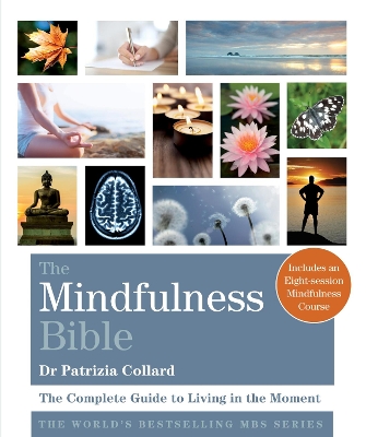 Book cover for The Mindfulness Bible