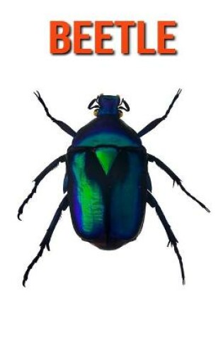 Cover of Beetle