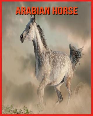 Book cover for Arabian Horse