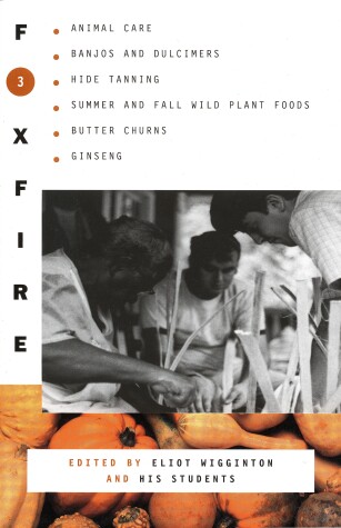 Book cover for Foxfire 3