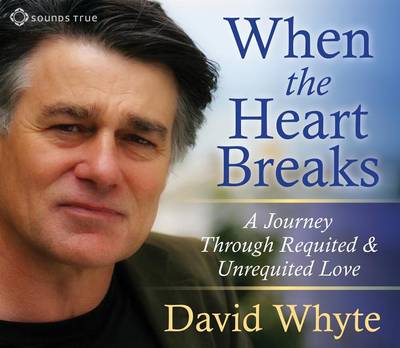 Book cover for When the Heart Breaks