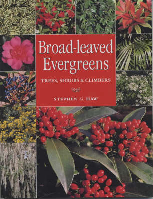 Book cover for Broad-leaved Evergreens